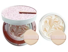 요즘 뜨는 GS MY SHOP 에이지투웨니스 3D터치 커버 쿠션 최고 인기 제품