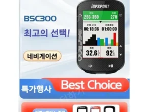 내돈내산 bsc300 추천