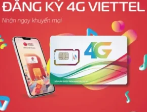 내돈내산 다낭 4일5일 패키지 베스트 추천 제품