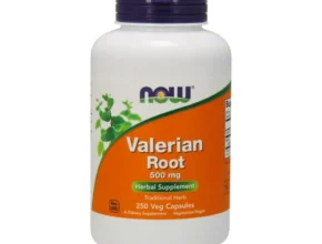 내돈내산 대명 아임레디 THE 행복한 플랜 품질 가격 최고 제품