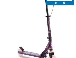 인플추천 데카트론킥보드 만족도 최고 제품