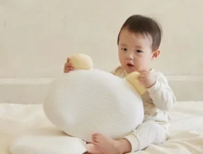 요즘 핫한 라비킷두상베개 베스트셀러