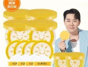 핫딜 리에노 2024 최신상 온가족 빅 썬쿠션 더블구성  s 가격 비교