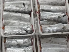 핫딜 목포먹갈치 핫 아이템