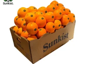 인플추천 블랙라벨 오렌지 특대과x30개입7.5kg 내외 최고 인기 제품