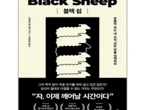 요즘 핫한 블랙쉽 베스트 추천 제품