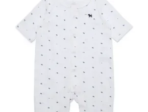 인플추천 블루독 품질 가격 최고 제품