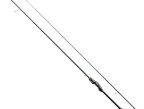 요즘 핫한 소아레엑스튠 만족도 최고 제품