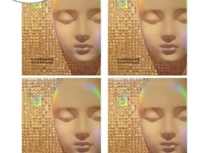 특가 아이디플라코스메틱 골드 마스크팩 기본구성 20회분 TOP 제품