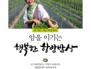 특가 암실속하나로암보험 베스트 추천 제품