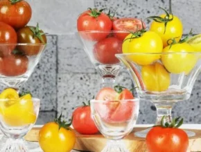 요즘 핫한 오색 칵테일 토마토 5kg 베스트셀러