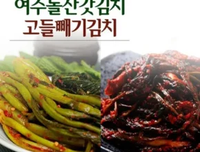 핫딜 유정임 돌산갓김치3kg오이소박이2kg 가성비 좋은 제품