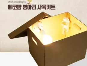 내돈내산 육추기 핫 아이템