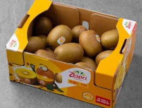 요즘 핫한 제스프리 썬골드키위 24과스푼 2개 가성비 좋은 제품