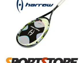 요즘 뜨는 헤로우스파크 추천