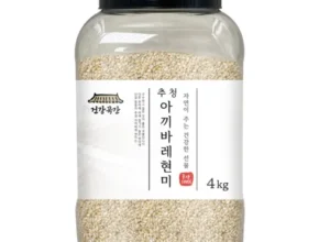 내돈내산 현미 TOP 제품