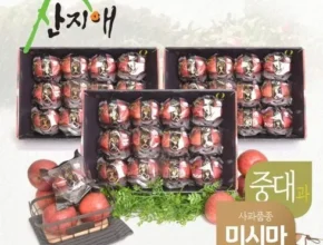 요즘 핫한 산지애 사과 5.4kg  가격 비교