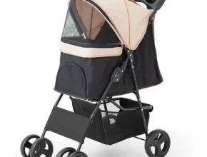 요즘 핫한 애견동반캠핑카 베스트 추천 제품